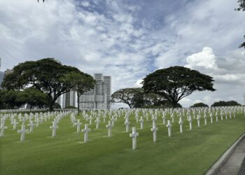 避免花大錢找神棍 「太陽神塔羅」鬼月即將推出「山海經牌卡」一牌了解所有靈的問題