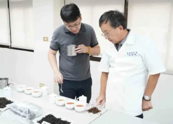 新北蜜香紅茶評鑑結果出爐 三峽青農周子耀蟬聯3年冠軍！