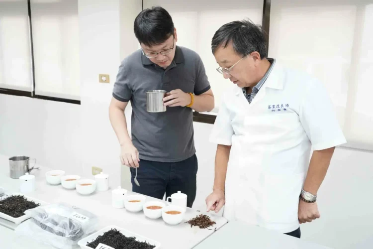 新北蜜香紅茶評鑑結果出爐 三峽青農周子耀蟬聯3年冠軍! 新北蜜香紅茶評鑑結果出爐 三峽青農周子耀蟬聯3年冠軍!