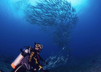 小琉球潛水住宿 暢遊小琉球熱門潛點