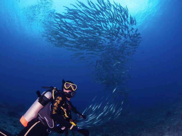 小琉球潛水住宿 暢遊小琉球熱門潛點