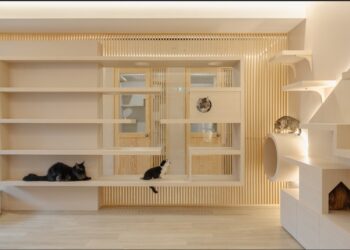 觀景窗看小鳥！雙北純貓旅館新選擇