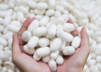 熹歐禾八週年獻禮 極輕感蠶絲內衣上市