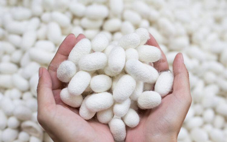 熹歐禾八週年獻禮 極輕感蠶絲內衣上市 熹歐禾八週年獻禮 極輕感蠶絲內衣上市