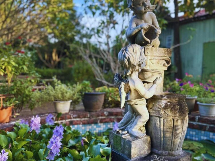 桃園花園景觀餐廳推薦 漫步花雨之中 享受療癒系田園假期