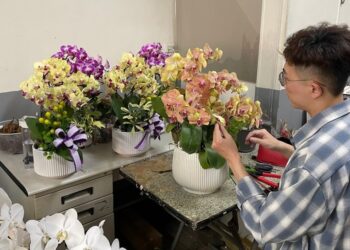 高雄蘭花花藝設計 點綴重要時刻