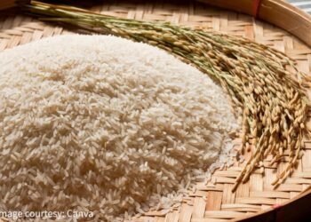 台中古早味手工油飯 職人傳承手路菜 守住三代人味覺記憶