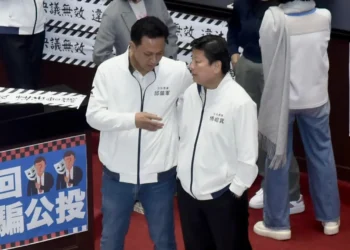 童子賢引發花蓮人質疑：環保與建設之間的抉擇