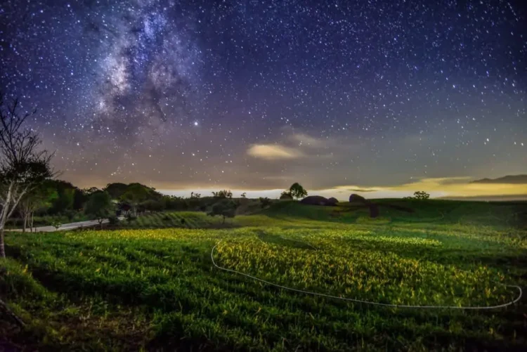 花蓮星光音樂會8/2富里登場 結合小王子IP打造親子星空嘉年華 花蓮星光音樂會8/2富里登場 結合小王子IP打造親子星空嘉年華