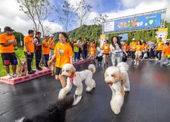 首屆萌寵馬拉松 南投埔里開跑