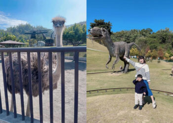全台景點｜最不敗的親子景點好去處！盤點 7 家全台特色動物園，暑假出遊還能寓教於樂