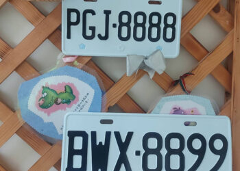 高雄區監所熱門車牌8888開賣！BWX、PGJ幸運號碼2000元起標