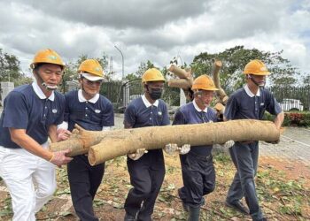  丹娜絲登陸嘉義  慈濟志工動員   關懷與協助公部門恢復市容