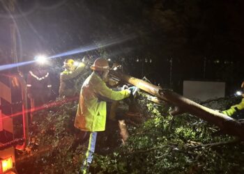 台電高雄區處3萬戶停電 全台最嚴重！將動員搶修力拚今日復電