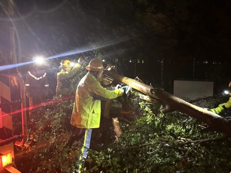 台電高雄區處3萬戶停電 全台最嚴重！將動員搶修力拚今日復電