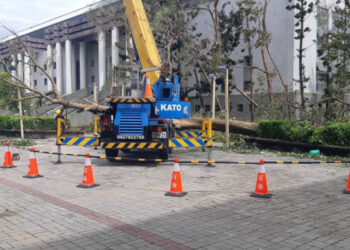 U12世界盃棒球賽可如期舉行！臺南市全力修復場館 確保賽事順利進行