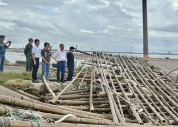 嘉義縣民哀嘆「家園還沒整理完！」呼籲縣府延長停班停課