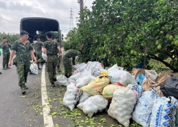 中秋文旦恐缺貨？丹娜絲颱風重創麻豆果園 價格恐飆、農民損失慘重
