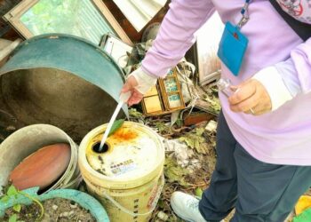 台南登革熱發病率歷年居高 颱風過後「防災+防蚊」雙重警戒