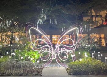 「度咕夏日大冒險」南仁湖熱鬧登場 湖口服務區巨型酷洛米首登場 成為最萌打卡點