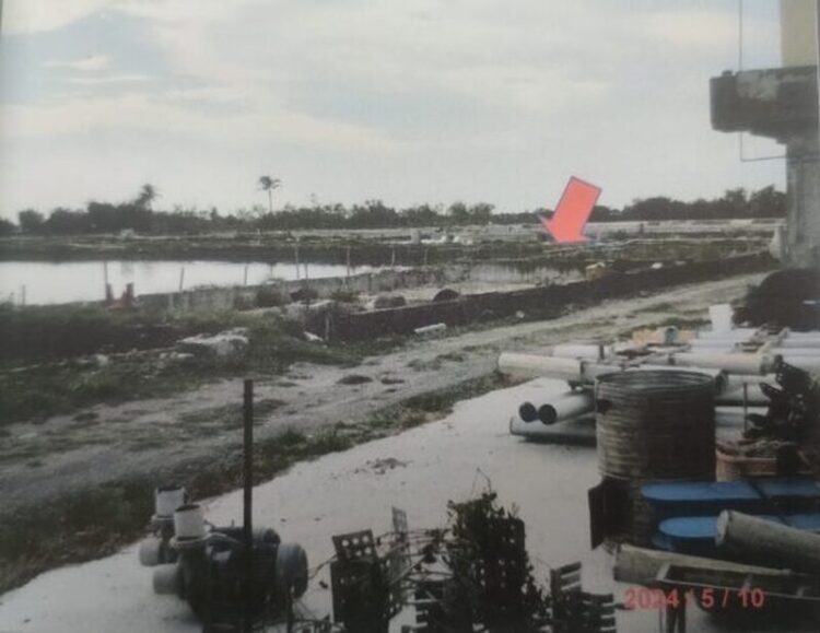 代夫欠稅未繳，陳女名下魚塭拍賣清償稅款