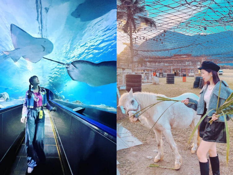 花蓮景點｜暑假消暑好去處 花蓮親子景點推薦「摸蛤仔兼洗褲」好吃好玩一次搞定