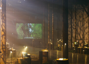 科技融入策展 ViewSonic引領沉浸式水文化體驗