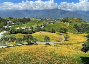 2025六十石山金針「繁花盛開、萌力全開」 萌系朵拉與咖波陪你拍照賞花