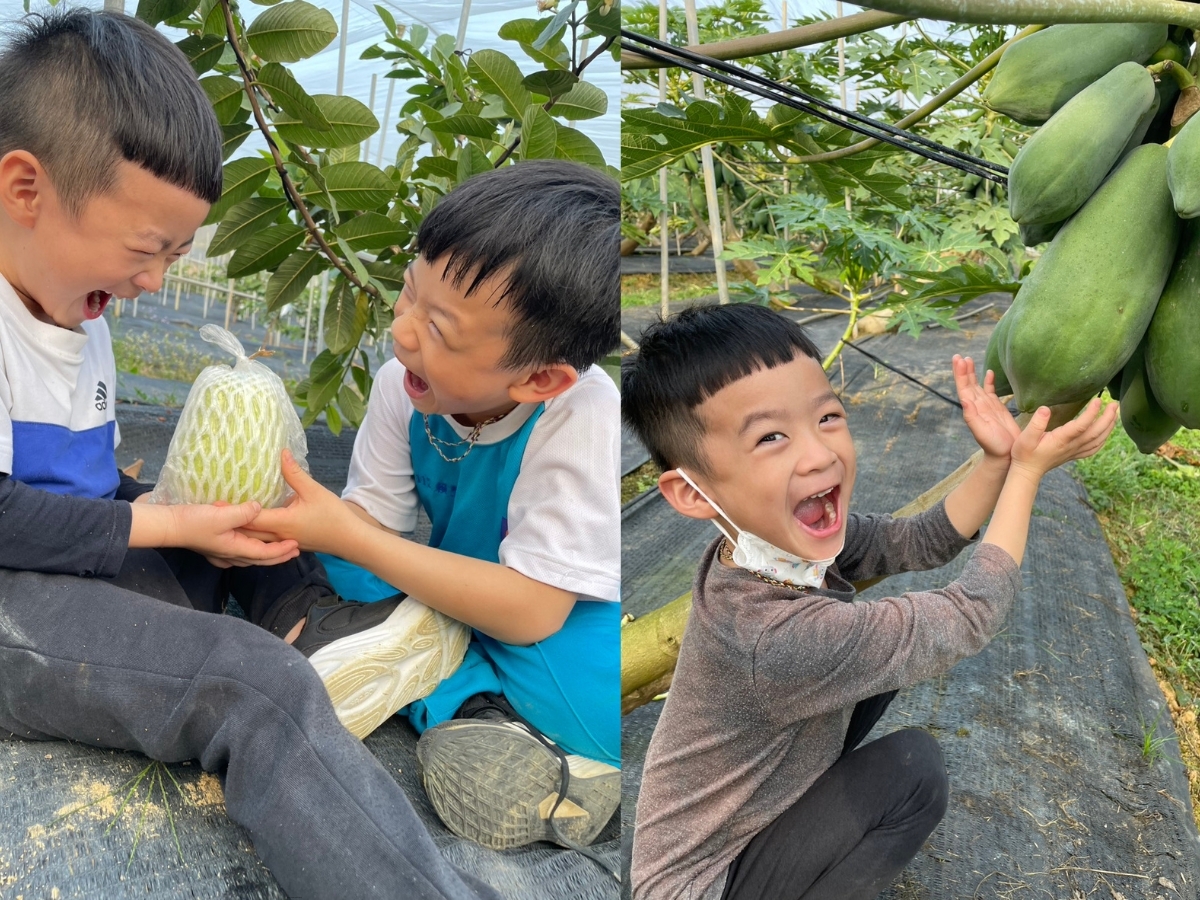 南投埔里圻宣農場直送 紅土地有機蔬果新鮮宅配到家 南投埔里圻宣農場直送 紅土地有機蔬果新鮮宅配到家