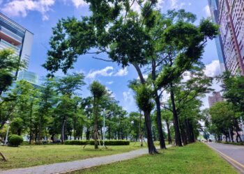 高雄市亞灣新光園道改善8月完工 颱風重創後重生！休閒與景觀全面升級