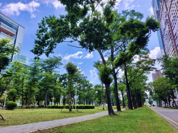 高雄市亞灣新光園道改善8月完工 颱風重創後重生！休閒與景觀全面升級