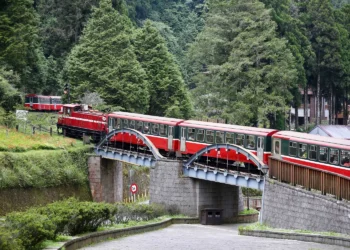 阿里山林鐵8/14持續停駛 復駛時間另行公告