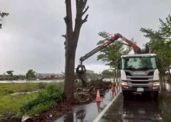 颱風吹襲 台南行道樹、公園傾倒樹木2萬餘棵 已清理完成