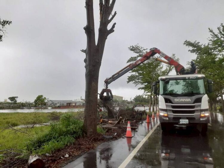 颱風吹襲 台南行道樹、公園傾倒樹木2萬餘棵 已清理完成 颱風吹襲 台南行道樹、公園傾倒樹木2萬餘棵 已清理完成