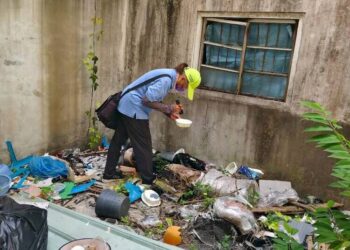 高市鼓山出現今年首例本土登革熱家庭、社區群聚疫情 擴大疫調採檢主動發現3例確診