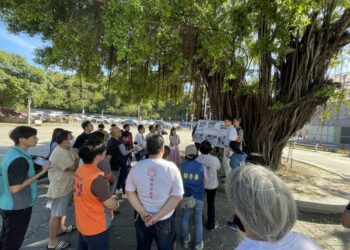保障安全防地陷 蓮池潭龍虎塔前雨水下水道9/1動工改善