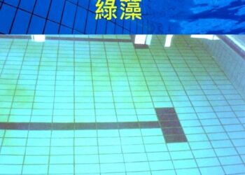 許展維建言李洋部長 提升台灣泳池水準，打造安全競技環境