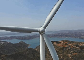 口出「混蛋」立委的「混帳」質詢 — 國會廟堂變廟口