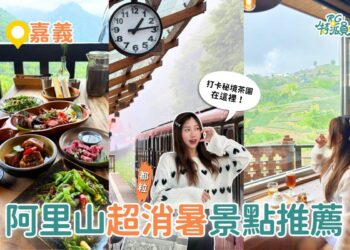 阿里山一日遊｜茶園秘境、絕景步道、部落料理一次體驗夏日清涼