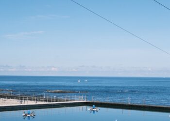 從一隻蝦吃到太平洋的甘甜，台東青年返鄉的永續力量