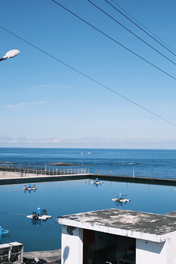 從一隻蝦吃到太平洋的甘甜,台東青年返鄉的永續力量 從一隻蝦吃到太平洋的甘甜,台東青年返鄉的永續力量