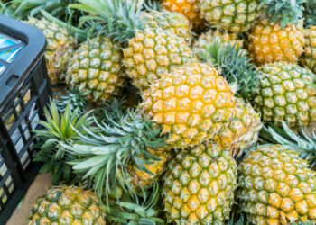 中國禁台灣鳳梨逾4年 日本年砸7億挺台全買下 中國禁台灣鳳梨逾4年 日本年砸7億挺台全買下