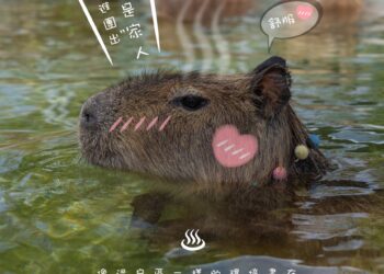 星夢森林劇場躋身國外網友票選台灣前三大生態農場