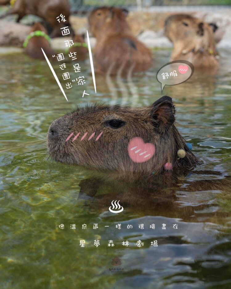 星夢森林劇場躋身國外網友票選台灣前三大生態農場 星夢森林劇場躋身國外網友票選台灣前三大生態農場