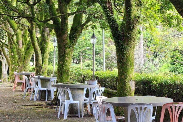陽明山竹子湖美食推薦 陽明山賞花必訪景觀餐廳季節限定花景 陽明山竹子湖美食推薦 陽明山賞花必訪景觀餐廳季節限定花景