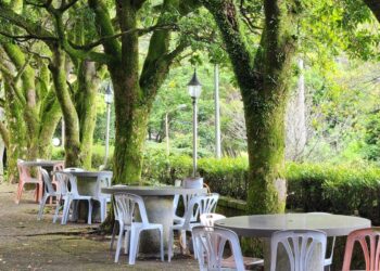 陽明山竹子湖美食 賞花必訪季節限定 陽明山竹子湖美食 賞花必訪季節限定