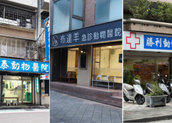 從陪伴走向照護 寵物醫療逐步融入現代生活日常 從陪伴走向照護 寵物醫療逐步融入現代生活日常