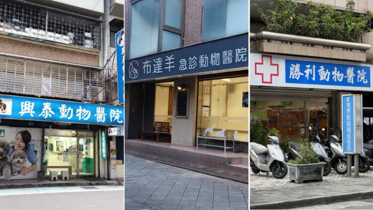 從陪伴走向照護 寵物醫療逐步融入現代生活日常