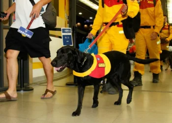 台中搜救隊英雄第一梯次平安返抵 消防局長代表盧市長車站迎接致上最高敬意 台中搜救隊英雄第一梯次平安返抵 消防局長代表盧市長車站迎接致上最高敬意