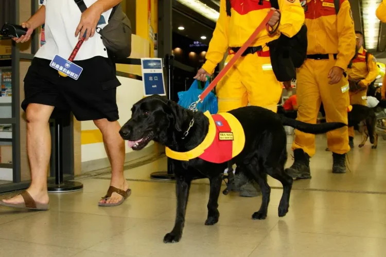 台中搜救隊英雄第一梯次平安返抵 消防局長代表盧市長車站迎接致上最高敬意